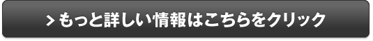 レスパスフィットネスの闇販売サイトへ